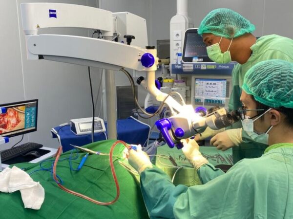 mastoid-3 mastoid-3