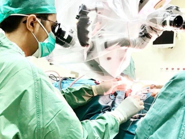 mastoid-4 mastoid-4