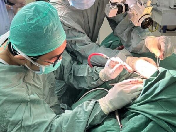 mastoid-6 mastoid-6