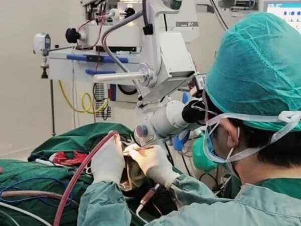 mastoid-7 mastoid-7