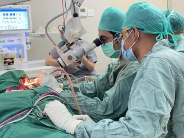 mastoid-8 mastoid-8