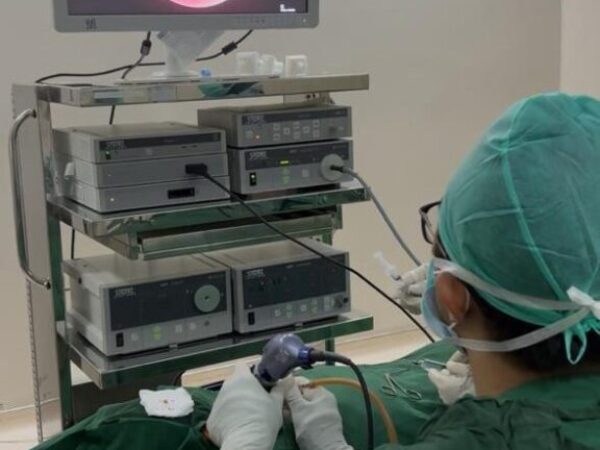 telinga-2 telinga-2